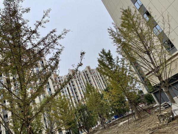 測評：小米邊上，永珍悅府一期VS二期