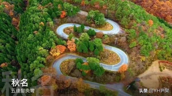 “他太帥了，請放過他”，美國網友的三觀有多奇葩？