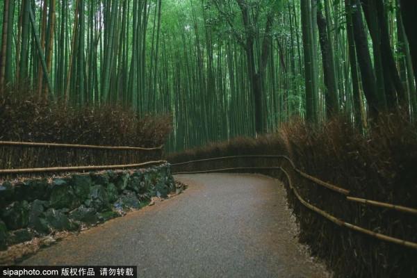 夏日避暑好去處!不出京也能享受清涼,還有免費的! 夏日避暑好去處!不出京也能享受清涼,還有免費的!