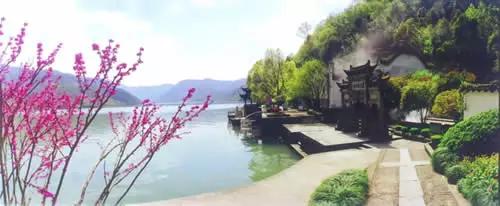 106張照片，美到眼睛移不開