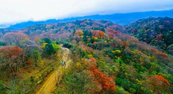 彩林之秋 | 觀山觀水觀紅葉,來旺蒼尋“醉”美秋色~ 彩林之秋 | 觀山觀水觀紅葉,來旺蒼尋“醉”美秋色~