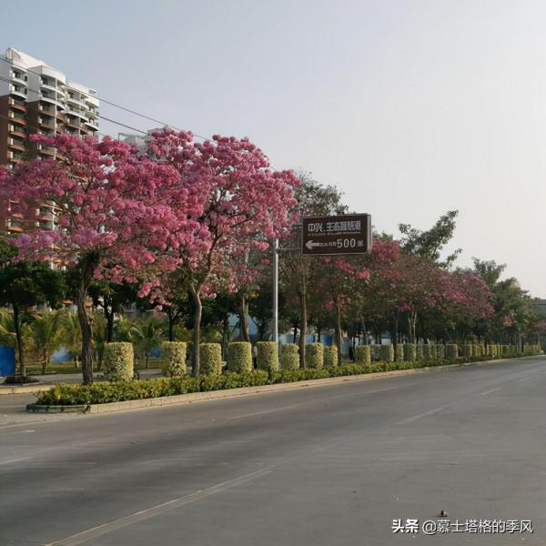 海南西線城市過冬避寒的深度分析，這幾座城，你會選哪一個？