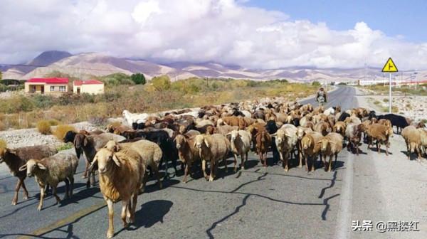 新疆塔什庫爾幹遊記 | 帕米爾高原上的特別風景:塔吉克族牧羊人 新疆塔什庫爾幹遊記 | 帕米爾高原上的特別風景:塔吉克族牧羊人
