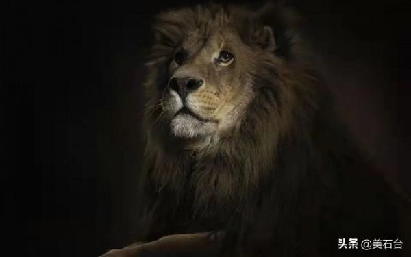 500萬不賣的石頭，估價2000萬，他要找到10年前賣給他6000元的人