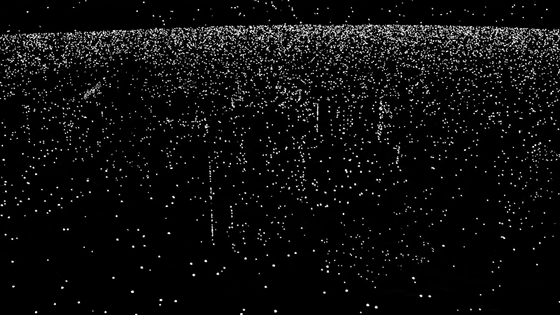 2021年最強視覺欺騙！只有王者級的眼睛才能識破騙局