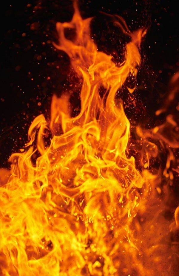 故事：古人記載的猛虎和異獸的離奇事件！能夠捕食猛虎的異獸？