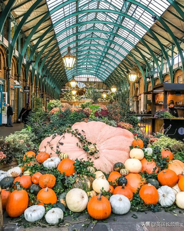 英國人為了萬聖節有多拼？上萬鎊佈置家門口，凌晨四點買裝飾...