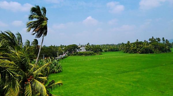 斯里蘭卡之旅(17)蒂瑟默哈拉默 斯里蘭卡之旅(17)蒂瑟默哈拉默