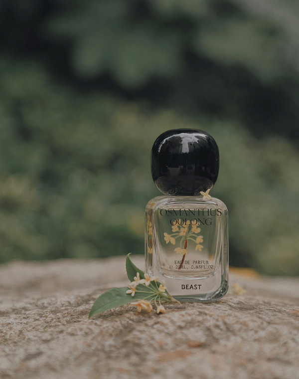 為秋天而生的5支香水,高階不“街香”,有品味又有檔次 為秋天而生的5支香水,高階不“街香”,有品味又有檔次