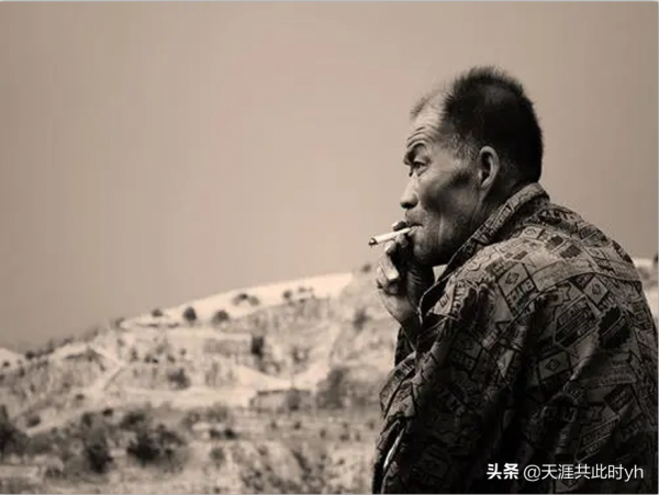 我該怎麼辦——一位農民的日記 我該怎麼辦——一位農民的日記