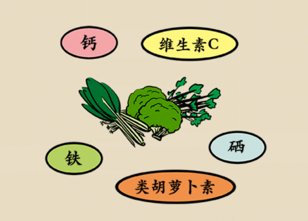 健康幸福過新年 &vert; 秘籍在此！吃蔬菜五顏六色才是對的