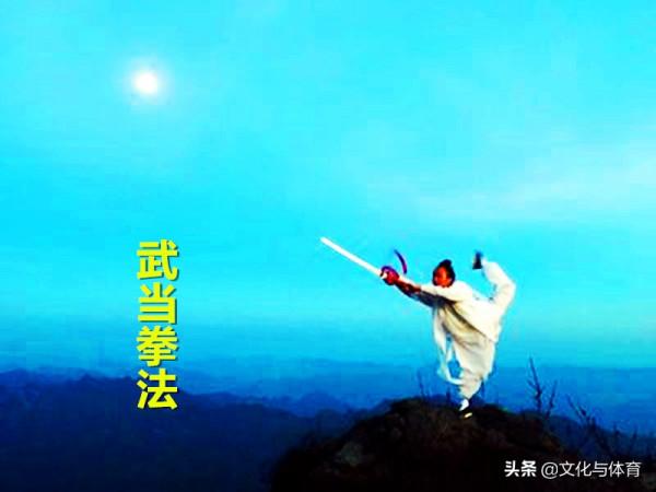 武當拳技擊秘法丨撩陰翻花掌