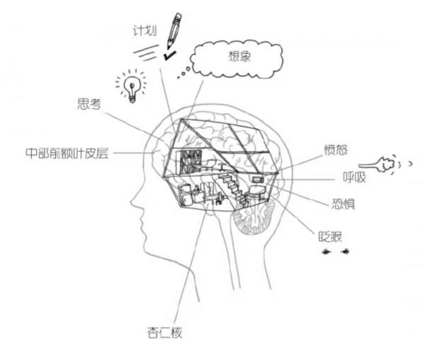 《全腦教養法》如何教會孩子自我控制整合上下腦? 《全腦教養法》如何教會孩子自我控制整合上下腦?
