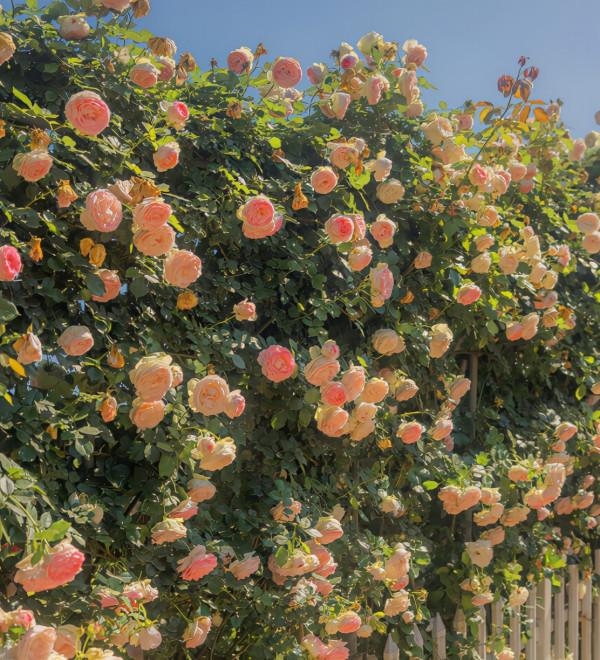 一週後,4個星座,正義感十足,總在幫助別人,去哪都能交到朋友 一週後,4個星座,正義感十足,總在幫助別人,去哪都能交到朋友