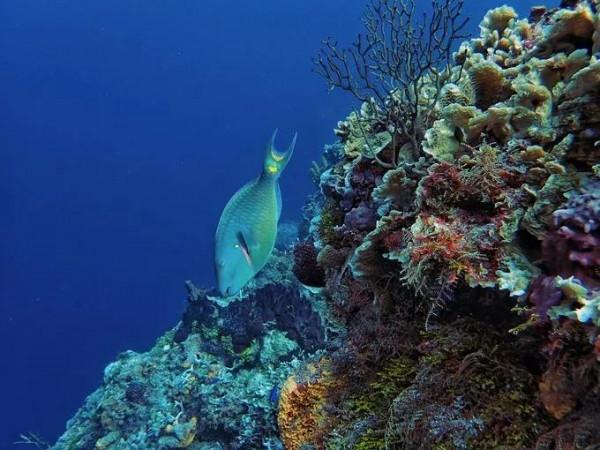 我的船上生活之005——船上記事