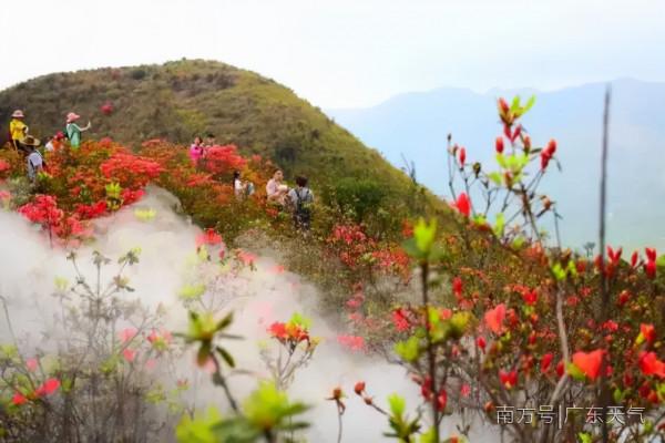 去旅遊嗎？新興天然氧吧的那種