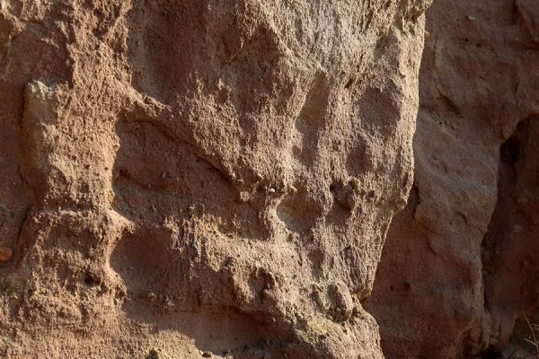 「訪古探幽」探訪紫城砦 「訪古探幽」探訪紫城砦