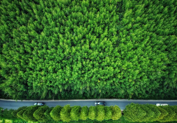 疫情結束,一定要去這10個地方洗洗肺 疫情結束,一定要去這10個地方洗洗肺