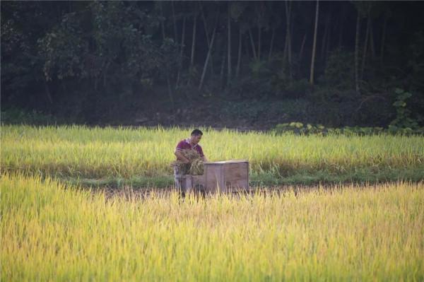 有一種心動，叫黟縣的四季