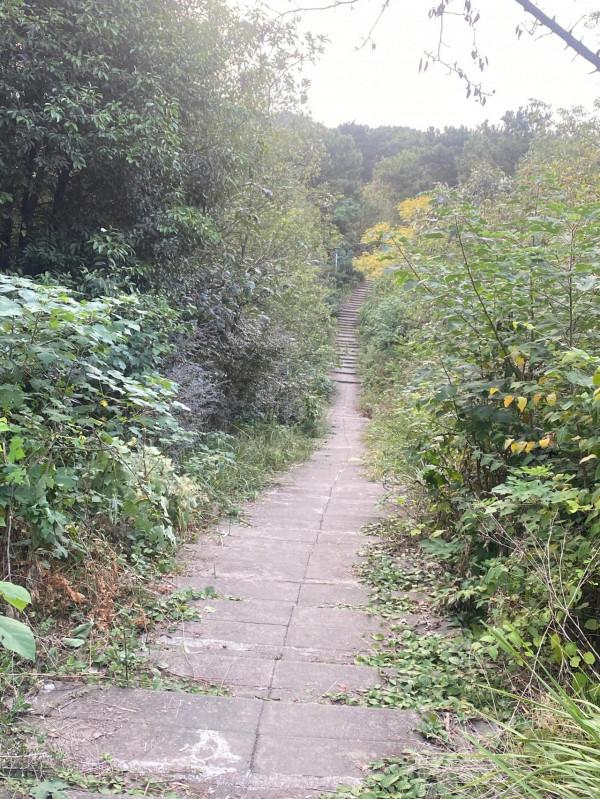 一個人爬山 一個人爬山