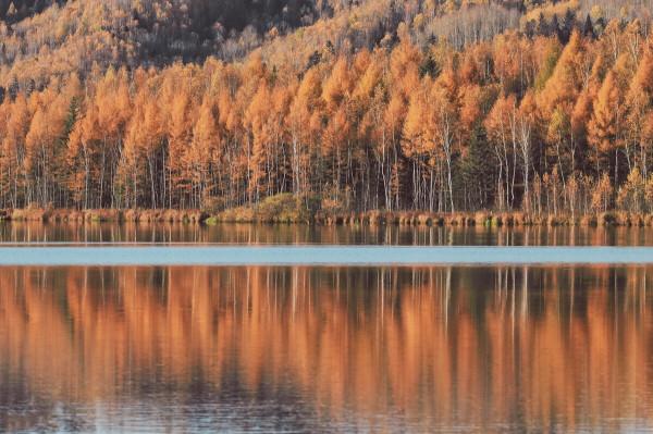 國內6條迷人的秋色美景自駕路線，帶你過一個精彩的秋天