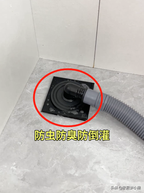 家裡總有股臭味？肯定是這5處沒弄好，看看你家中招了嗎
