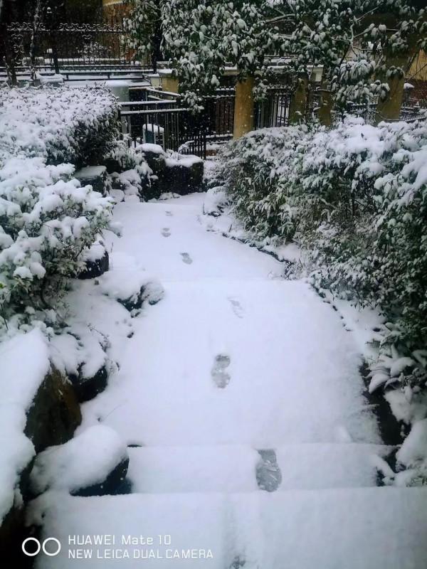 爸：今天下雪了