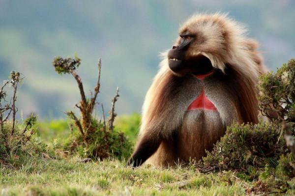 請欣賞美麗瞬間