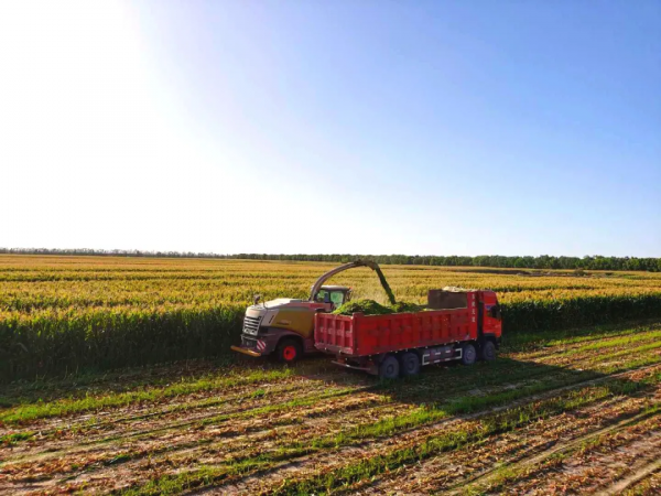 一滴優質奶 多方齊上陣