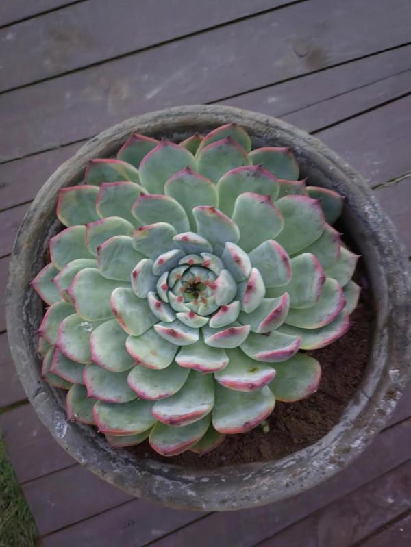 小煩惱小焦慮還有小悲傷 小煩惱小焦慮還有小悲傷