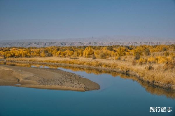 新疆喀什投入1.23億的金胡楊景區,看看68元的門票到底值不值 新疆喀什投入1.23億的金胡楊景區,看看68元的門票到底值不值