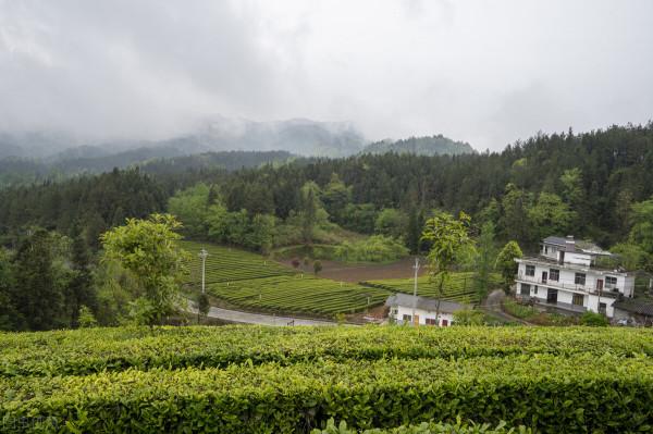 利用痛苦能讓人行動