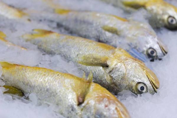 大年初一吃哪種魚，寓意最好?大廚:就吃這4種魚，實惠美味寓意好