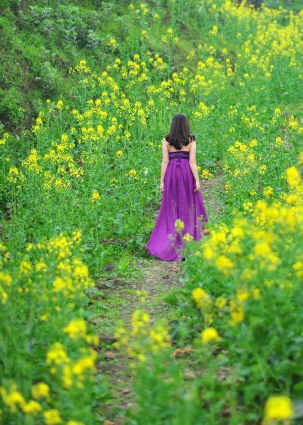 分享圖片，春天來了，滿山遍野的油菜花開了