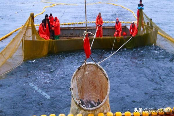 勘察加半島：清廷視為苦寒之地，俄羅斯卻當成寶貝刻意隱瞞