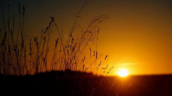 那些年,我們一起走過的歲月 那些年,我們一起走過的歲月