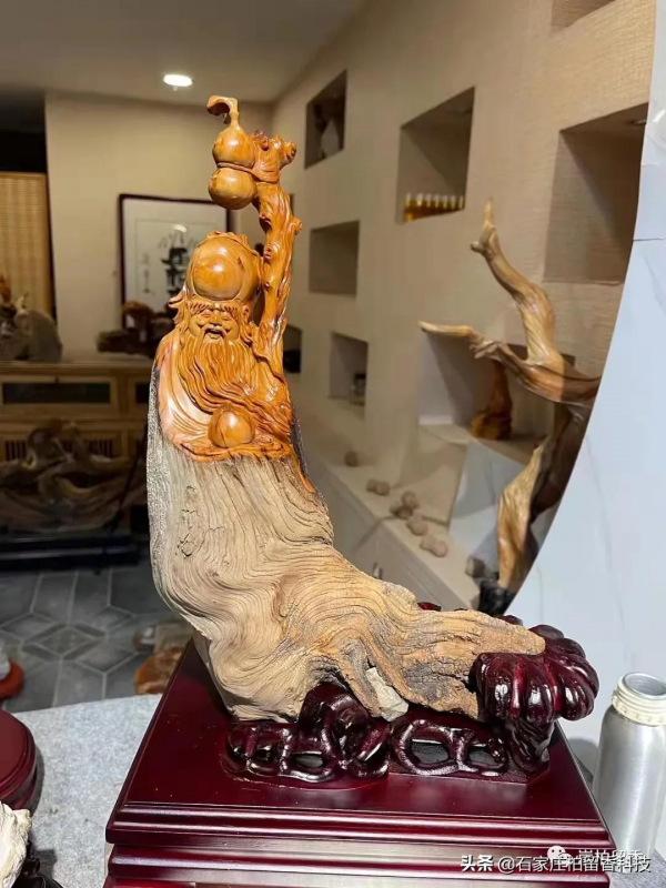 玩太行崖柏的真諦到底是什麼呢? 玩太行崖柏的真諦到底是什麼呢?