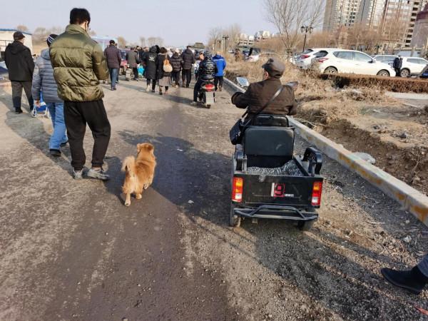 東北大集都有點啥，快跟我一起逛逛