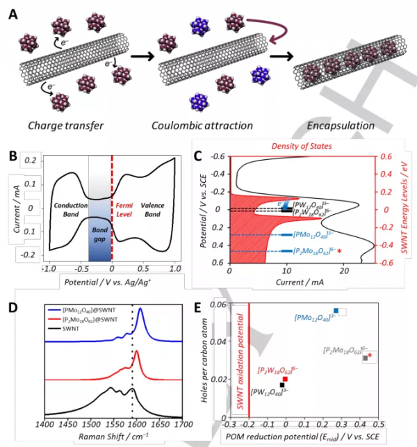 Angew：多鉬酸鹽在SWNT中的有效封裝