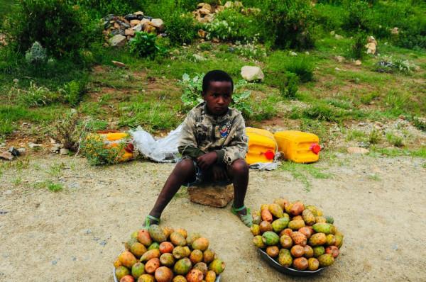 “再見地球！火星你好！”神奇如阿凡達的地方，你知道在哪兒嗎？