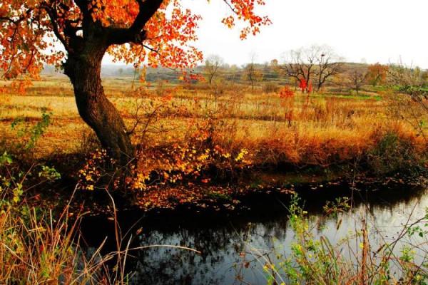 秋天的美景，真迷人