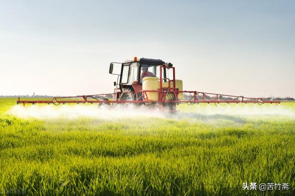 娶不上老婆的農村人為何佔光棍比率那麼高 娶不上老婆的農村人為何佔光棍比率那麼高