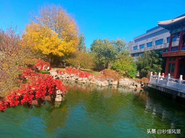 北京遛娃拍照賞秋的好去處，比香山人少，不要門票卻少有遊客知道