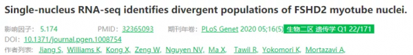 玩轉單細胞測序｜肌肉組織研究思路大揭秘