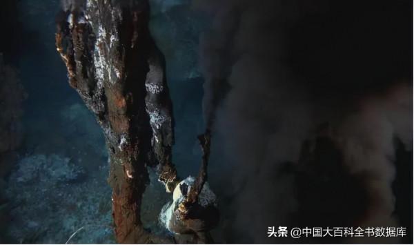 海底熱泉、冷泉生態系統：化能細菌支撐起的深海秘境