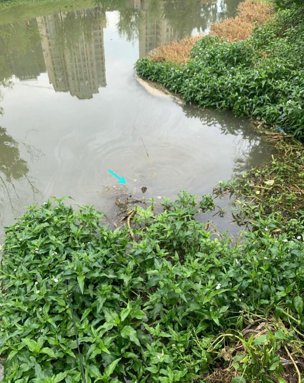 浙江釣友釣起未知水族，因未帶抄網拉不起來，就看到兩隻爪子