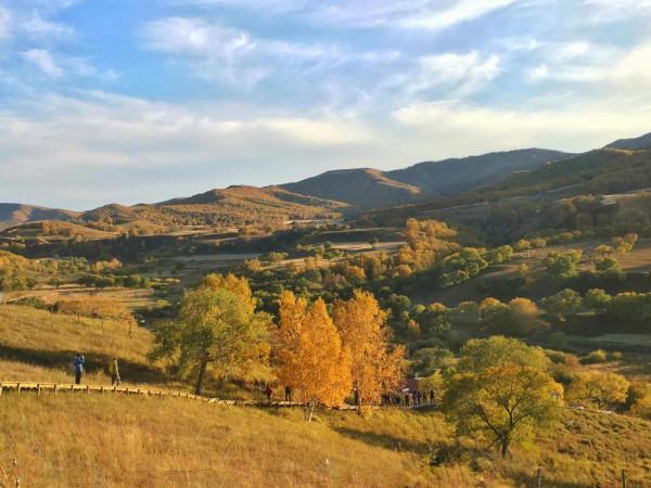 烏蘭布統的迷人秋色