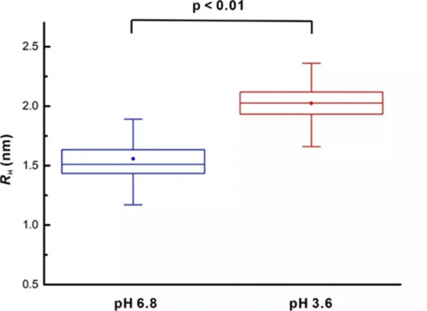 固有無序蛋白中緊湊的無序狀態在分子識別中的重要性