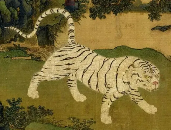 60年一遇，壬寅年極簡史