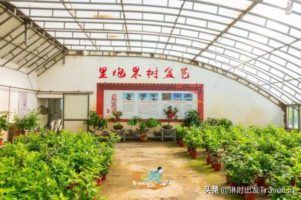 嚮往的鄉遊就在北京延慶